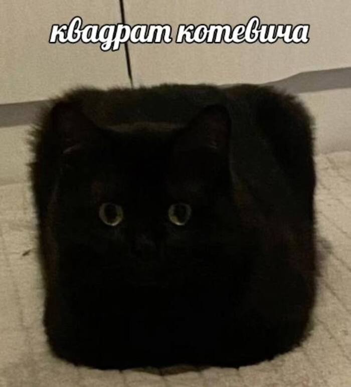 Да это шапка же