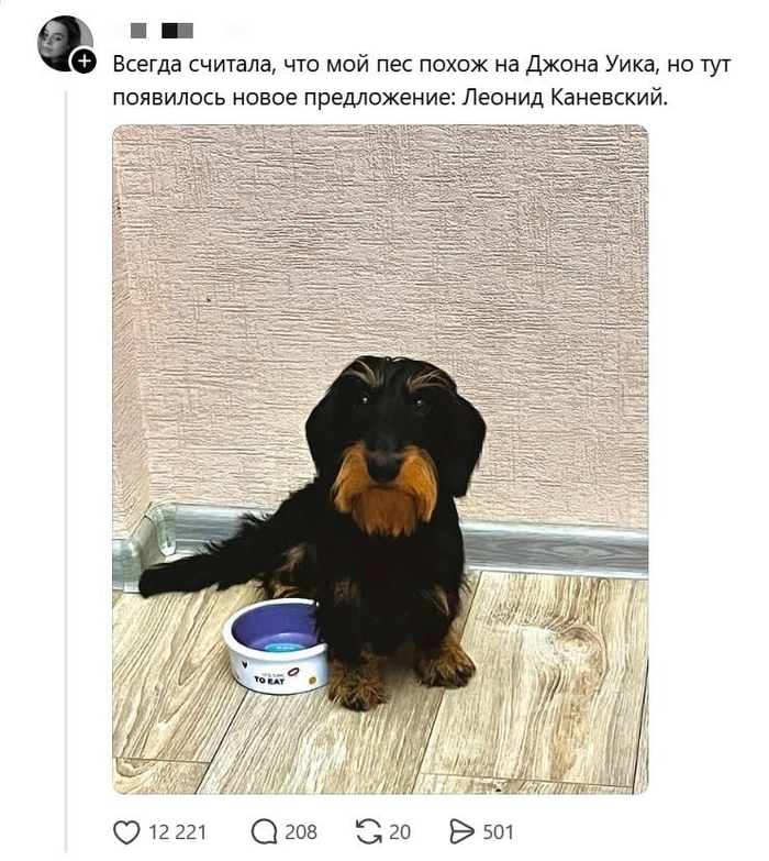�����?