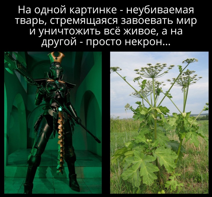 ������� �����