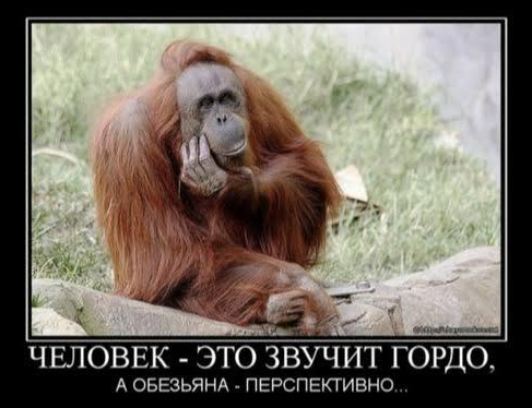 Баян всему голова