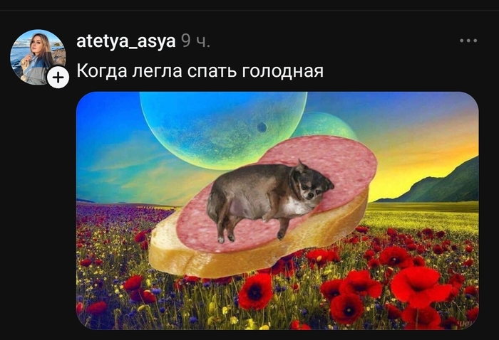 ����� ����� �����