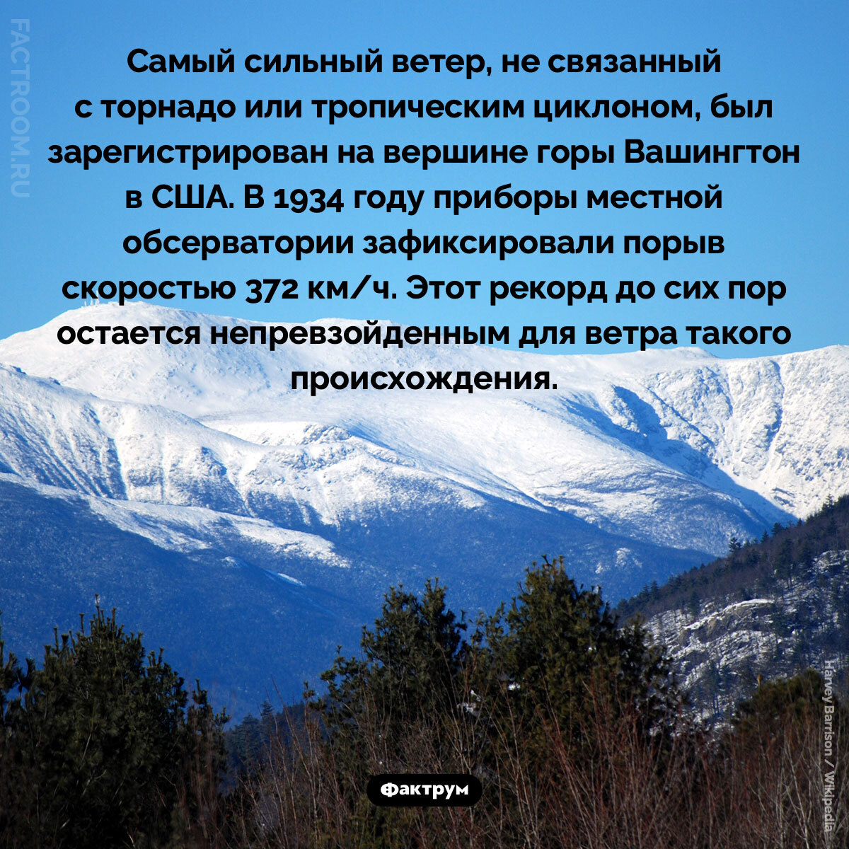 Interesting Facts #276 - My, Informative, Facts, A selection, Picture with text, Factrum, Want to know everything, Amazing