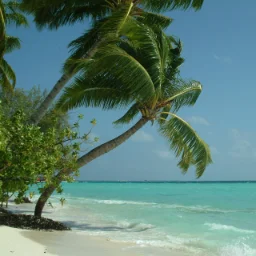 zanzibar.safari