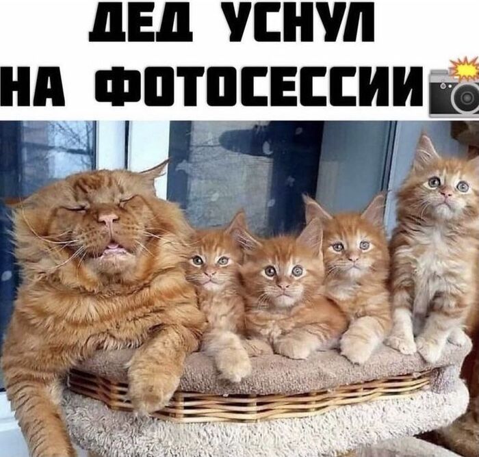 Дедуля, ало-о!