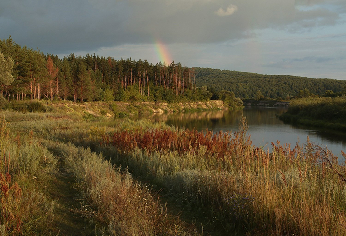 Фото: Николай Каранов<a href="https://pikabu.ru/story/leto_na_sure_14228576?u=https%3A%2F%2Frtraveler.ru%2Fphoto%2F1484229%2F%3Feditorial_photos%3D1&t=%D0%BE%D1%82%D1%81%D1%8E%D0%B4%D0%B0&h=0a39e8817cdb8b1318f5737fb011726aa5797c11" title="https://rtraveler.ru/photo/1484229/?editorial_photos=1" target="_blank" rel="nofollow noopener"> отсюда</a>