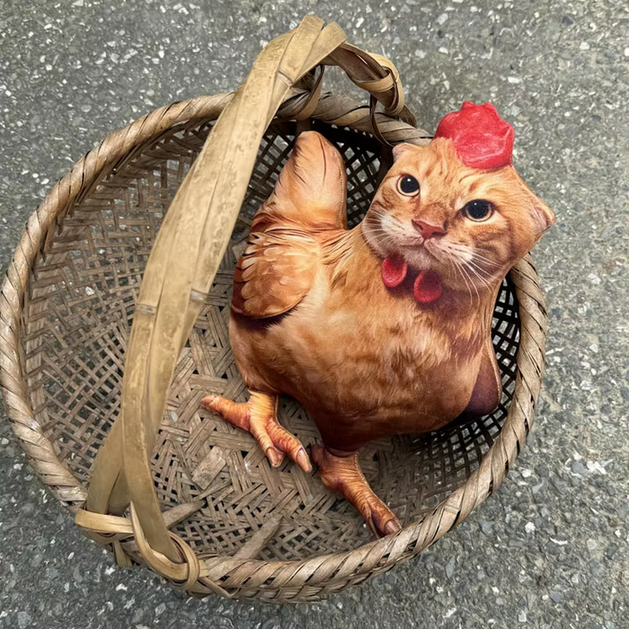 ������ �������