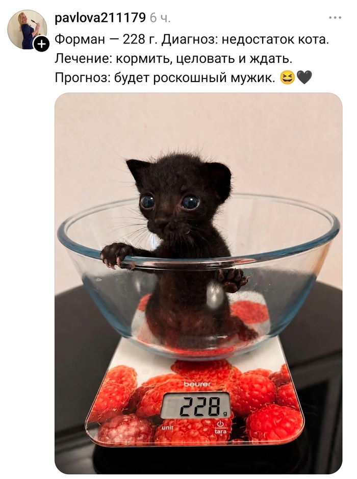 ����� ����� �����