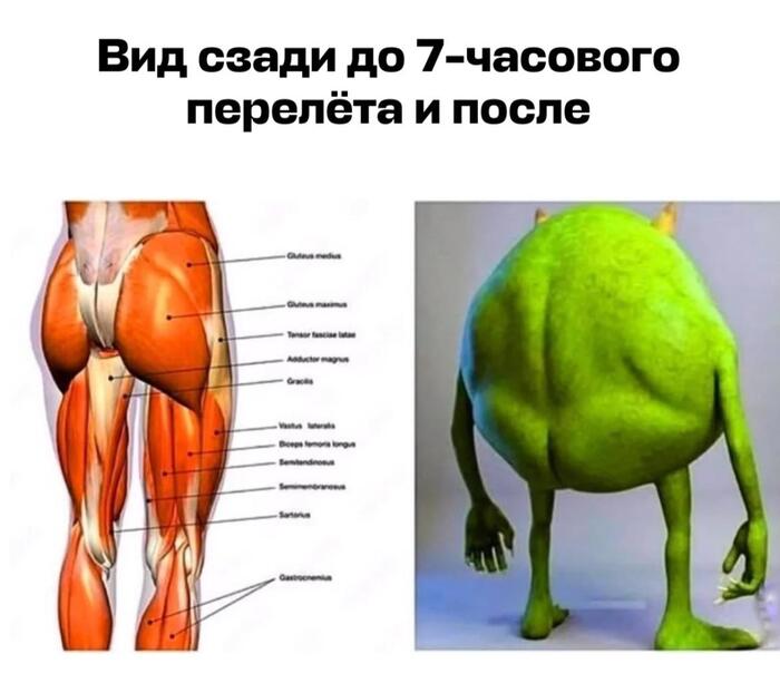 ������� )