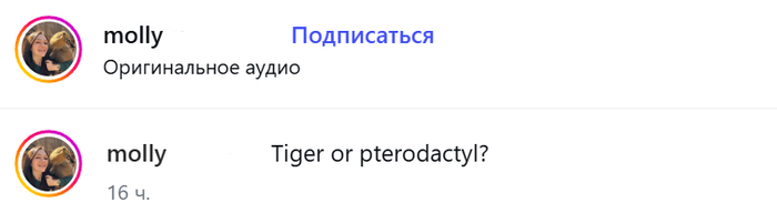 Никнейм частично замазал, а то у нас теперь штрафуют непонять за что.