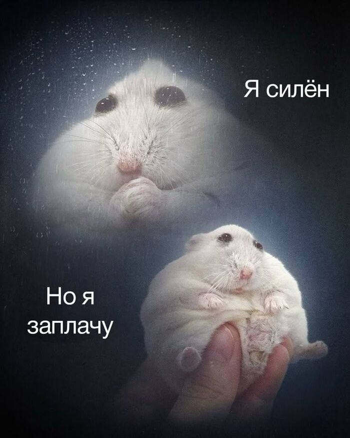�� � �������
