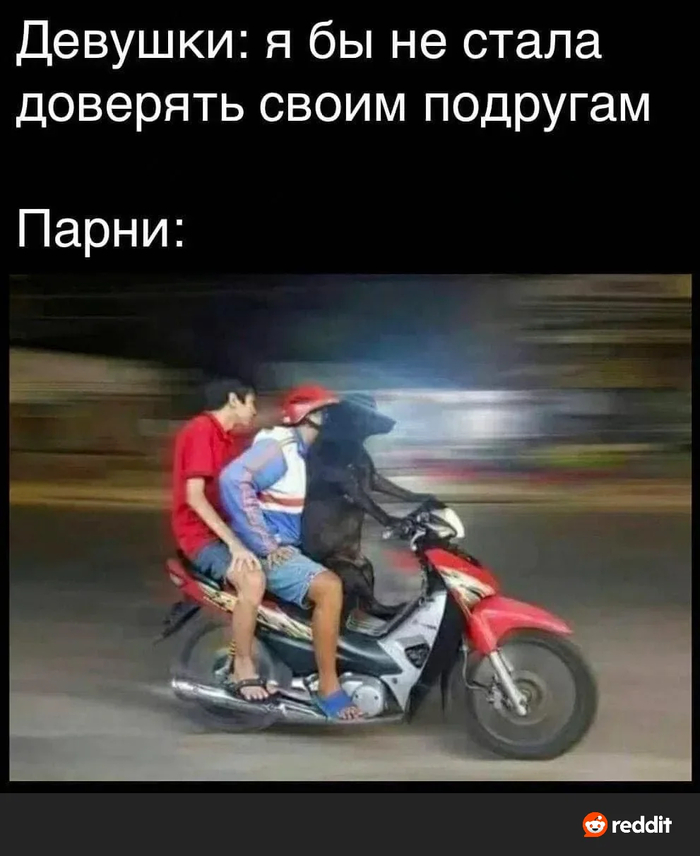 ������ ������� �������