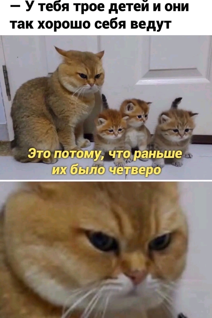 �� �����������