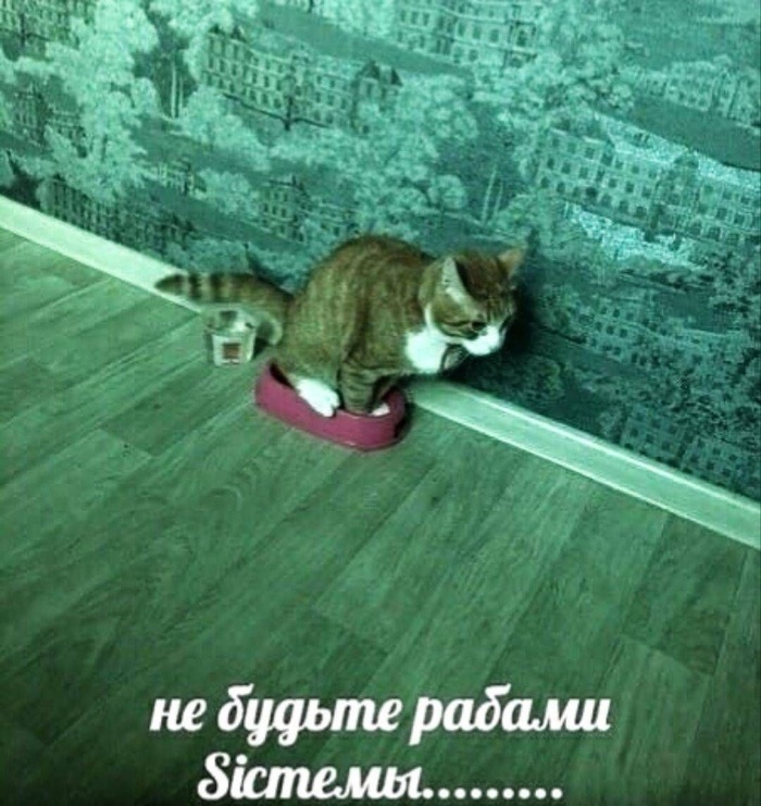 � ������� �...