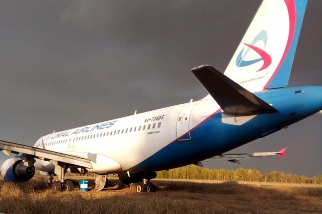 Самолёт в поле давно разобрали. От него не осталось и следа. Фото: <a href="https://pikabu.ru/story/52_pilota_podderzhivayut_menya_moralno_i_finansovo_figurant_skanalnogo_dela_o_posadke_samoleta_v_pole_sdelal_zayavlenie_v_sude_14338928?u=https%3A%2F%2Faif.ru%2F&t=%D0%98%D0%B7%20%D0%BB%D0%B8%D1%87%D0%BD%D0%BE%D0%B3%D0%BE%20%D0%B0%D1%80%D1%85%D0%B8%D0%B2%D0%B0&h=a1e58861719adc4a3b302fe53e093bf1f6864cd5" title="https://aif.ru/" target="_blank" rel="nofollow noopener">Из личного архива</a>/ Анатолий Коняшкин