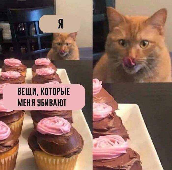 � ��������