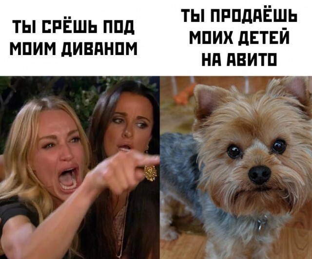 А ведь вроде обе правы...