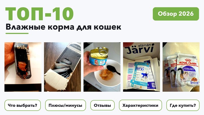 Лучшие влажные корма для кошек 2026: отобрали из более 160 товаров с высоким рейтингом