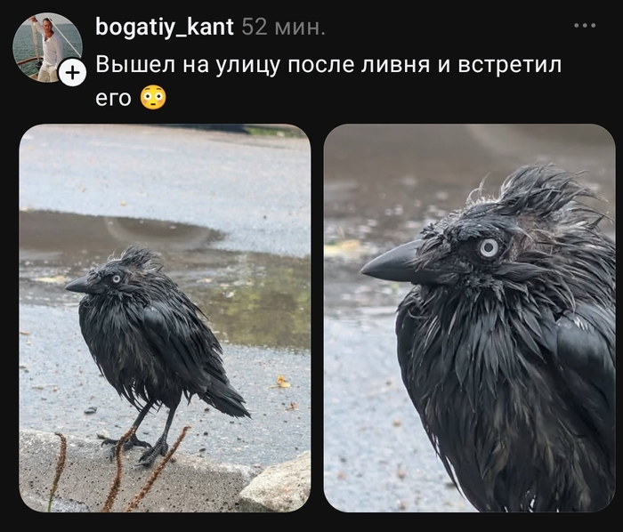 Да просто без укладки