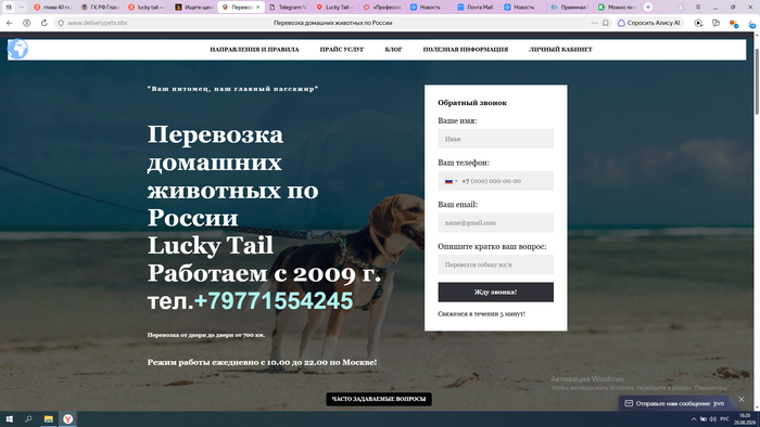 ���������: Lucky Tail