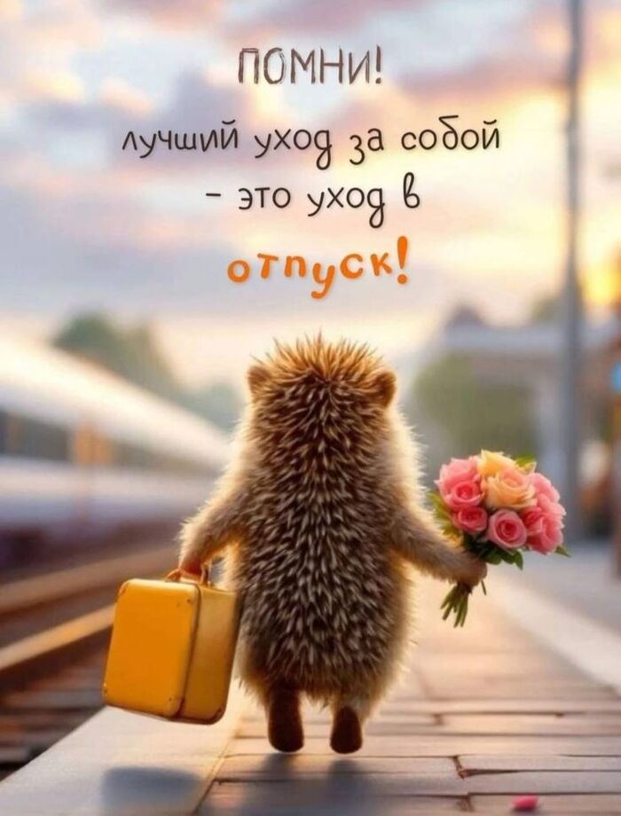 Поездки