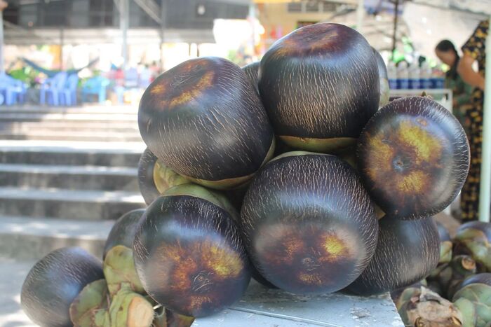 ����� ����������� ������, Borassus flabellifer. �� ��� ������ ��������� �����. ������ ������ ������ �������� � ��������� � ��� � � ����.
