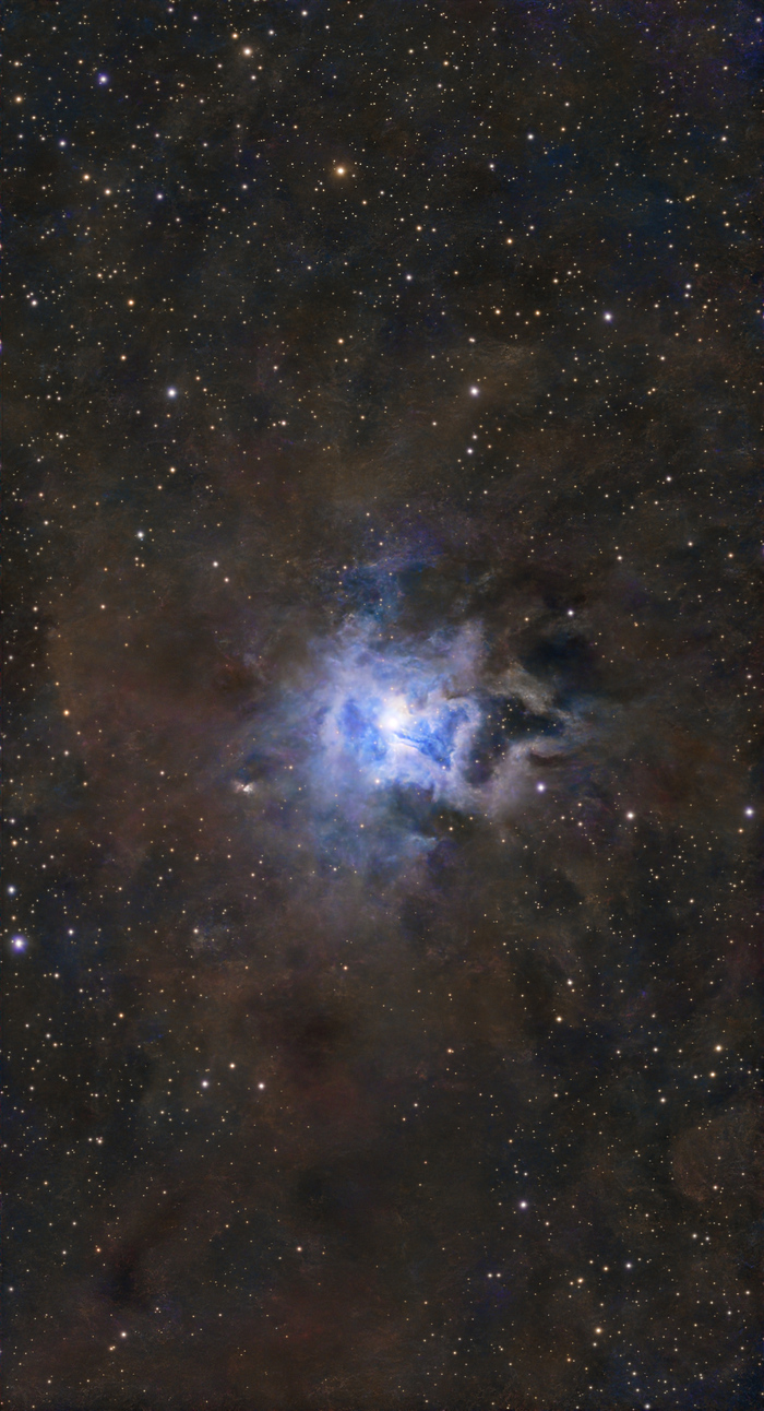 NGC 7023. Iris nebula.