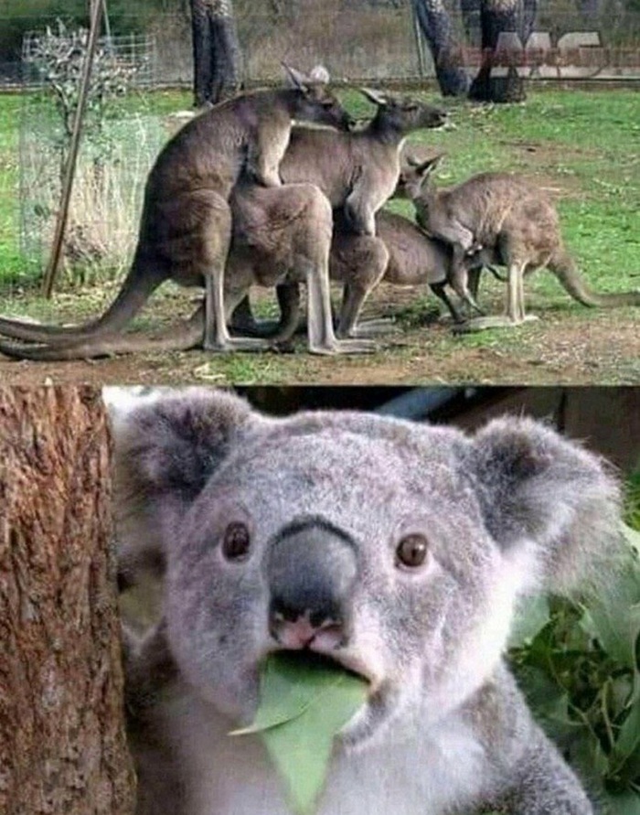 ����� ������� �����������. 😁