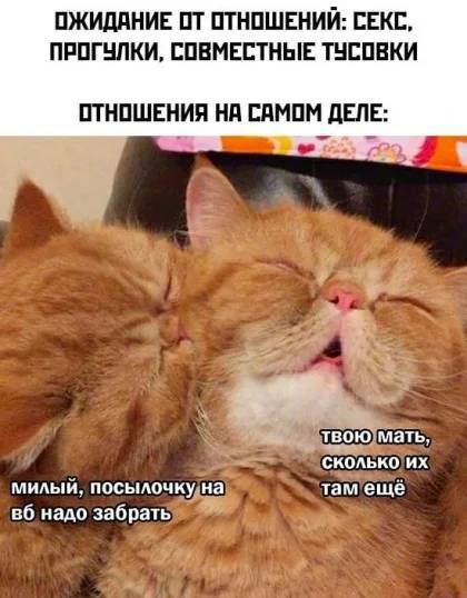 ���������...