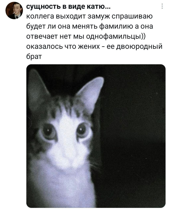 ������, � ��������