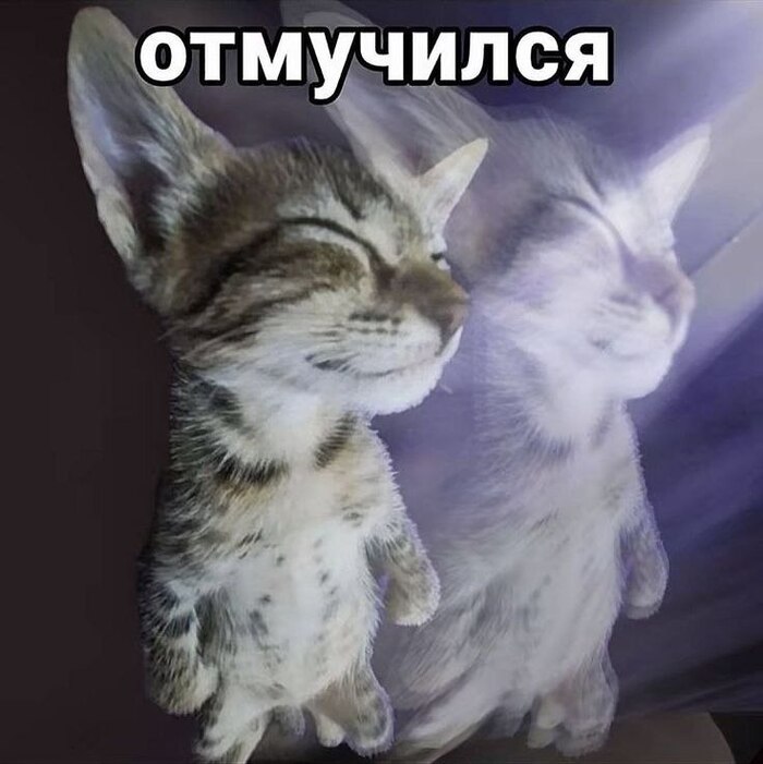 Я сегодня: