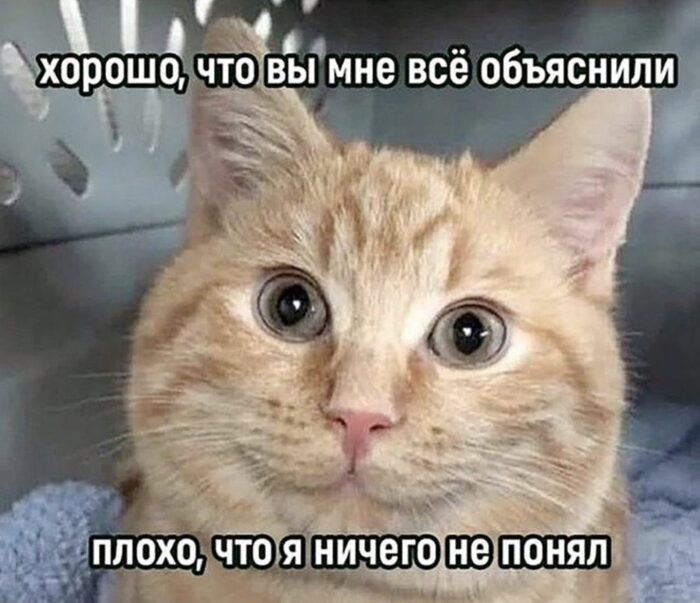 Вежливый), но ...