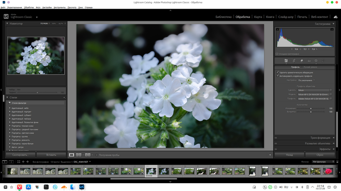 Lightroom Classic 15.3.1 на Linux