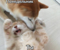 ����������