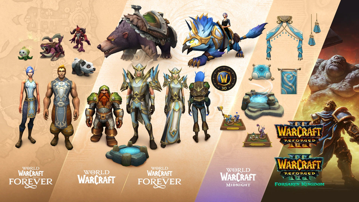 Анонсирована World of Warcraft Forever — так называемый Classic+
