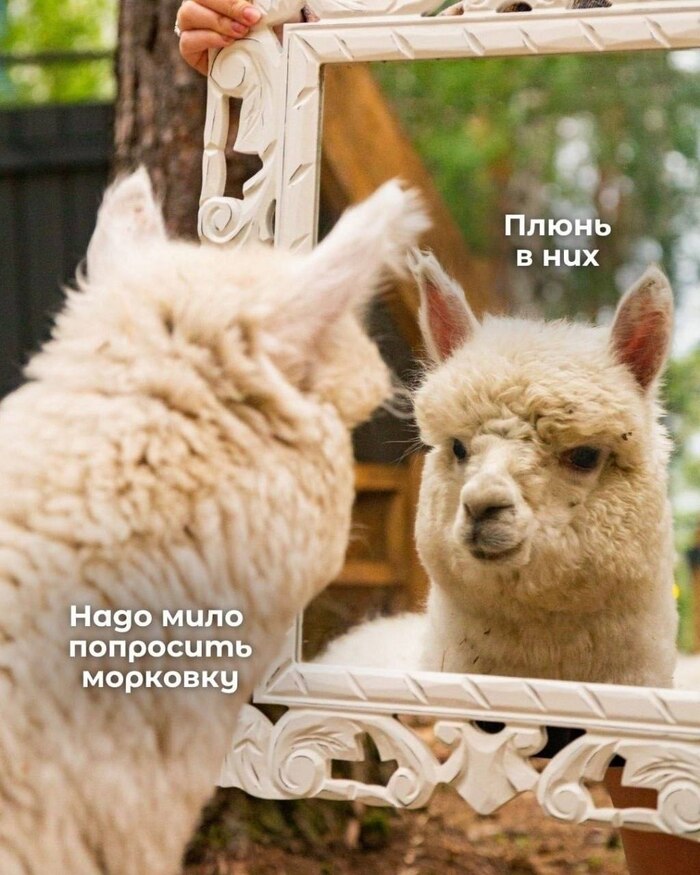 Как же сложно иногда