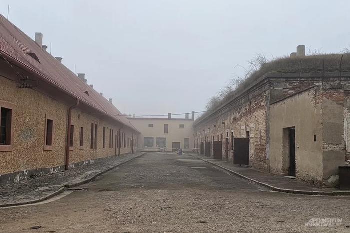 АиФ / Георгий Зотов