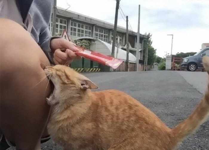 ������� �������