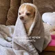 ����� ����� ������ ���� �����������