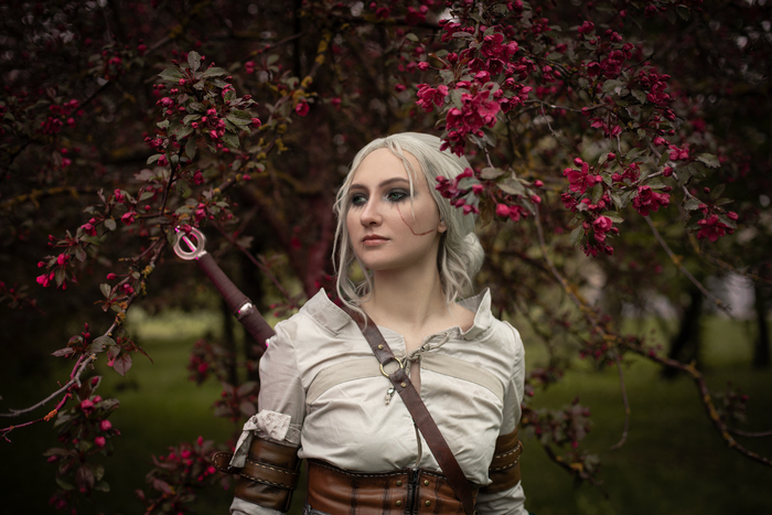 Ciri The Witcher 3