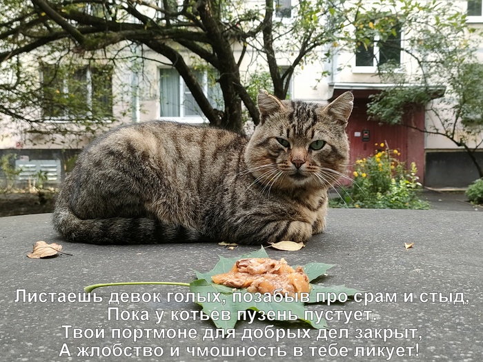Любить и кормить :3