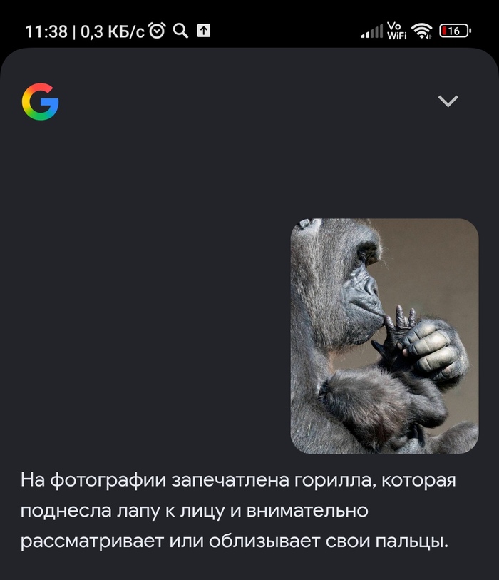 ��� ����� �� ���� �������� Google