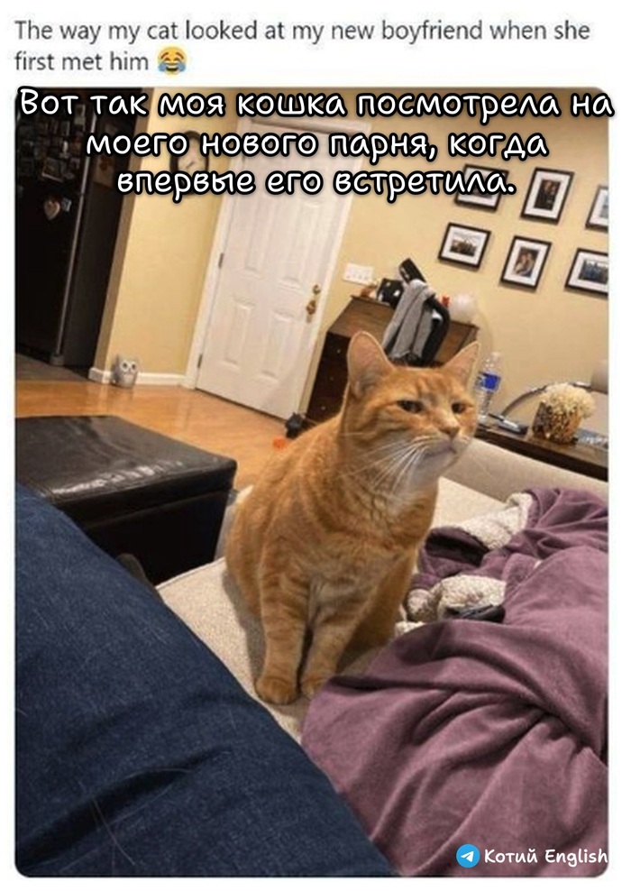 ������ �����������