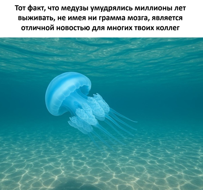 Порадуйте любимых коллег сегодня