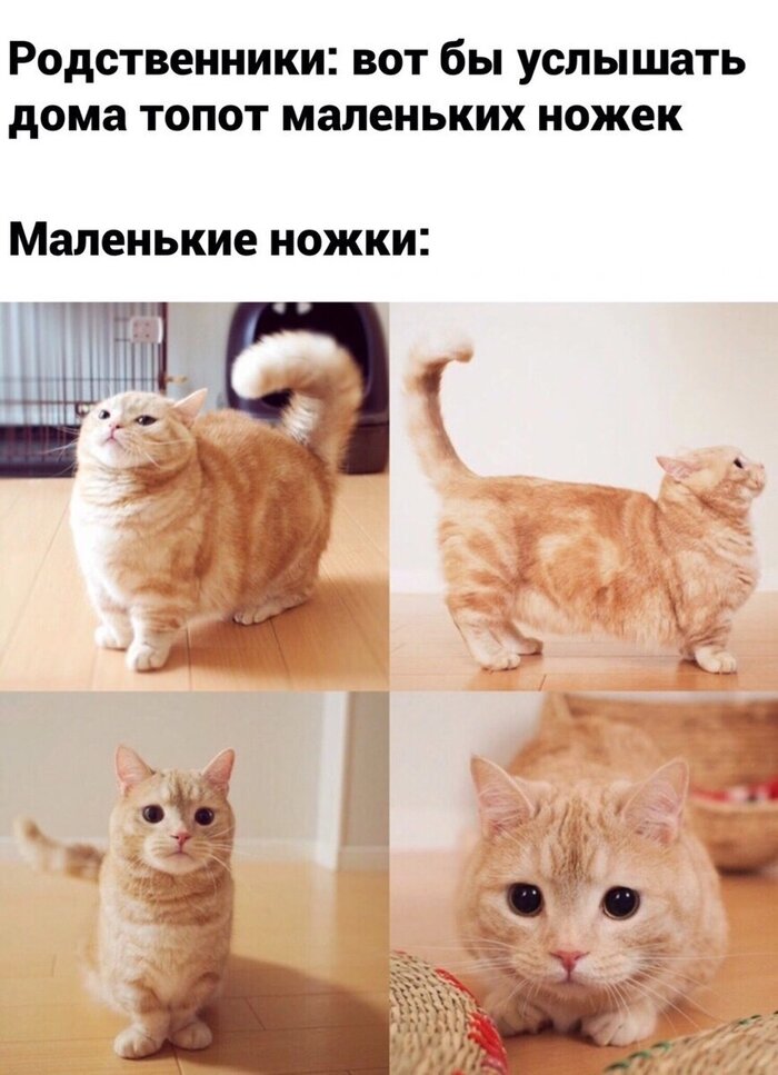 #ОЗ99