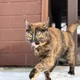 ����� ����� ������ ���� �����������