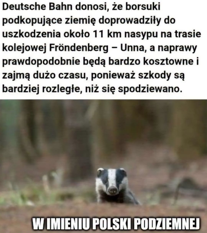 Именем подпольной Польши (непереводимая игра слов подземье (польск. podziemie) - подземелье\подполье)