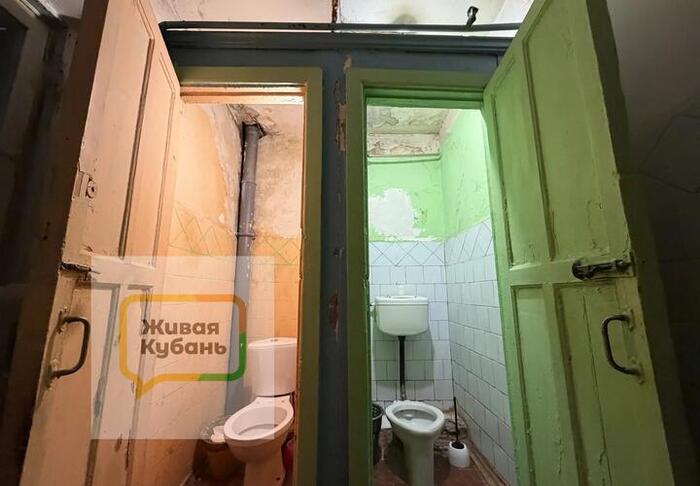 ����: ����� ������