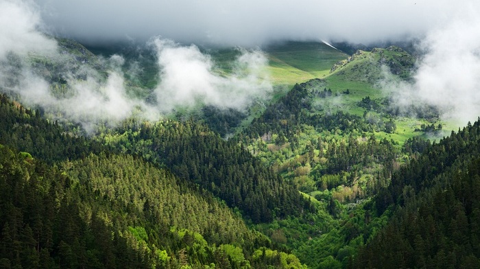Смотровая Карча-Тёбе. Фото: Александр Селифанов