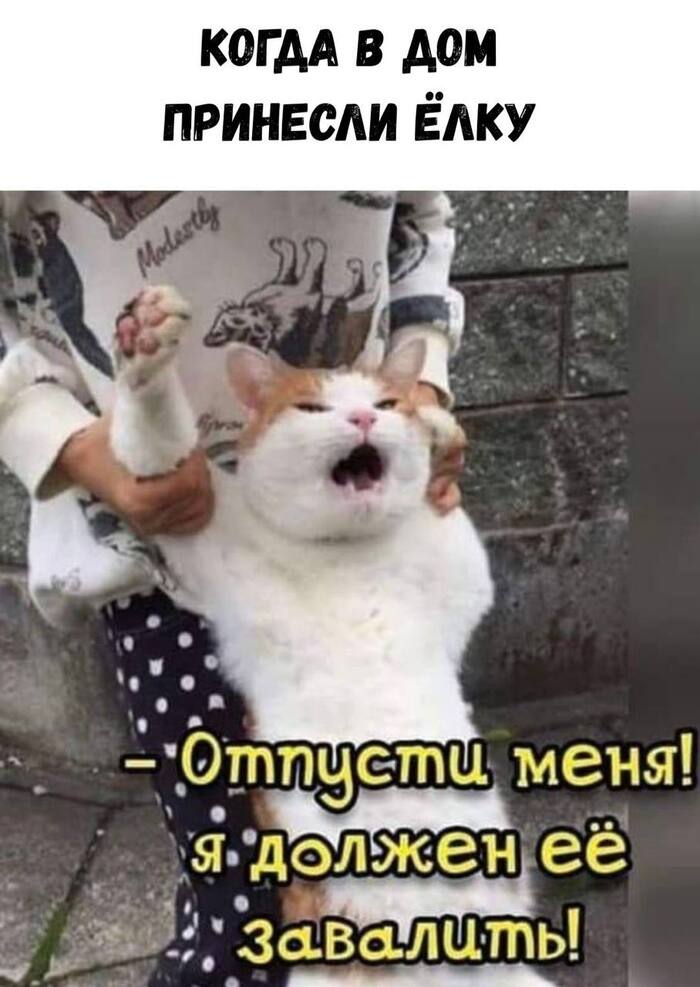 Скоро!
