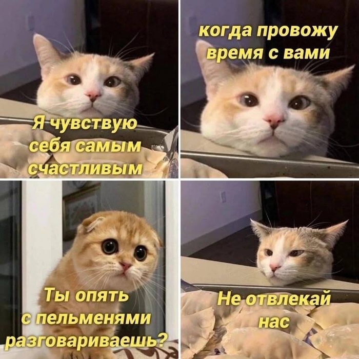 Разговорчики с пельмешками)